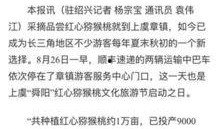 杭州日报热点爆料新闻最新,揭秘杭州最新网红打卡地，带你领略城市魅力新地标
